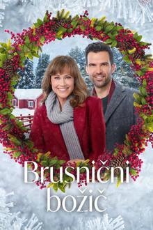 Brusnični božič