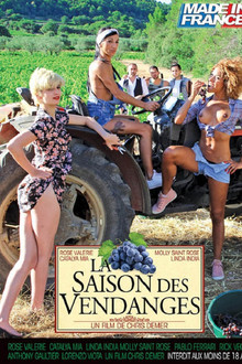 La Saison des Vendanges
