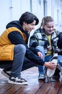 Die-Chaosschwestern-und-Pinguin-Paul