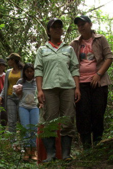 Daughters of the Forest