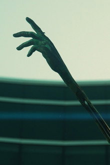 Z (The Voice)