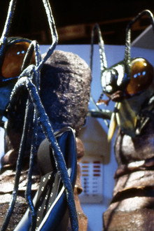 Doctor Who: The Ark in Space