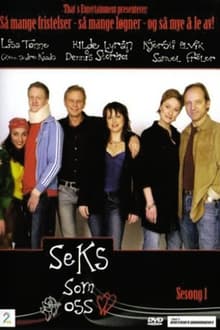 Poster da série Seks som oss