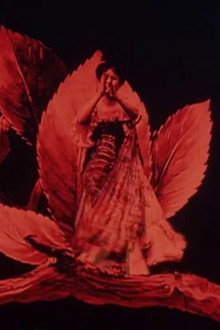 Métamorphoses du papillon