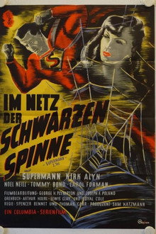 Im Netz der schwarzen Spinne