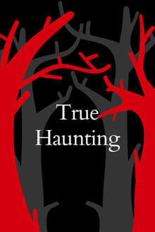 Poster do filme True Haunting