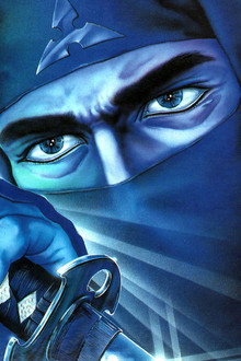 Golden Ninja Warrior