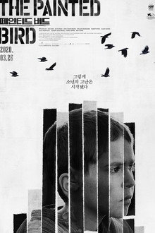 페인티드 버드