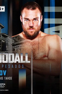 Efe Ajagba vs. Joe Goodall