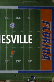 14 Days in Gainesville