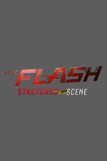 Poster da série The Flash: Stretched Scene
