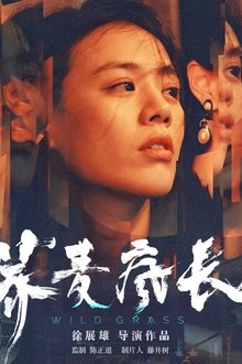 荞麦疯长