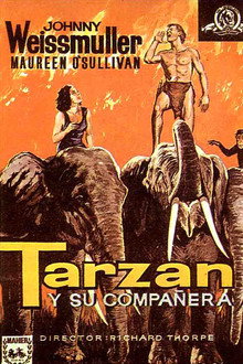 Tarzán y su compañera