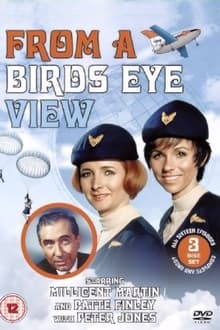 From a Bird's Eye View tv show poster