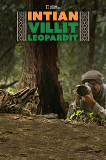 Intian villit leopardit