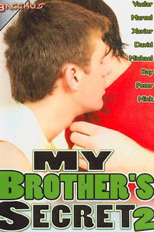 My Brother's Secret 2