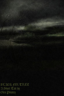 Black Fir Tree
