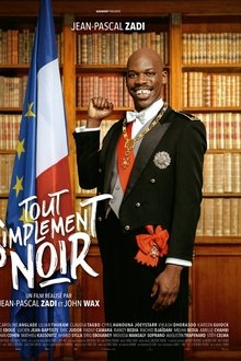Tout Simplement Noir streaming