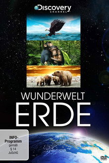 Staffel 1