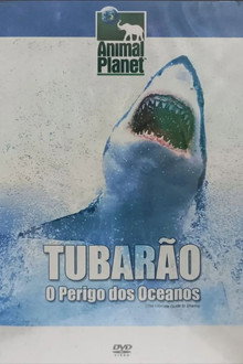 Tubarão: O perigo dos oceanos