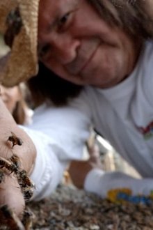 The-Killer-Bee-Catcher