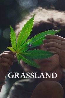 Grassland Grassland