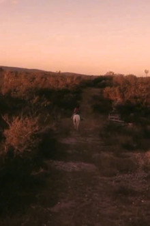 Vaqueros