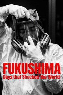 Fukushima: Days That Shocked the World