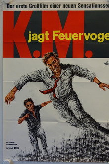 Young Kamikaze & Co. - K.M. jagt Feuervogel
