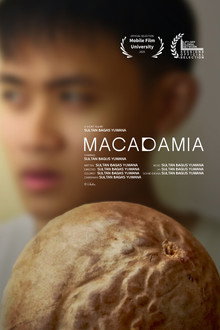 MACADAMIA