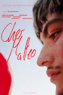 Cher Matteo
