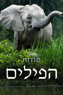 עונה 1