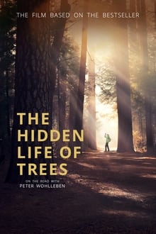 Poster do filme Das geheime Leben der Bäume