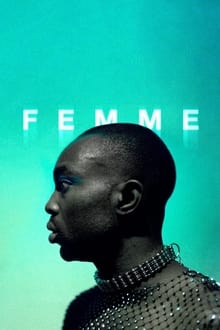 Poster do filme Femme