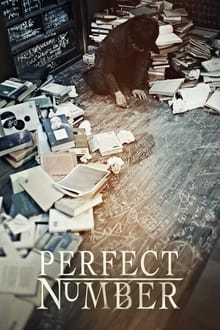 Poster do filme Perfect Number