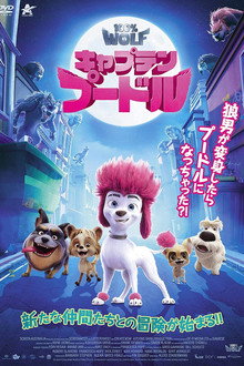 キャプテン・プードル