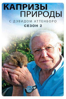 Сезон 2