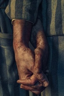 The Tattooist of Auschwitz