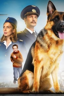 Palma-–-Un-amore-di-cane