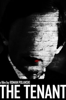 Rascunho automático