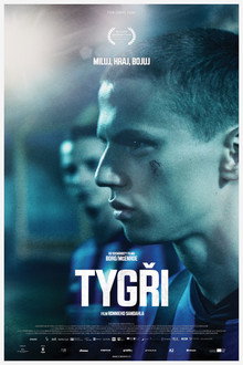 Tygři