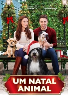 Poster do filme Um Natal Animal