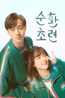 순환초련