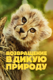 Сезон 1