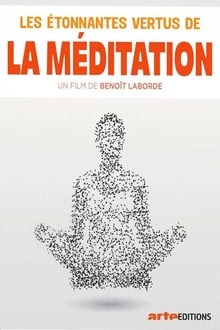 Poster do filme Les étonnantes vertus de la méditation