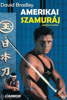 La loi du samouraï streaming