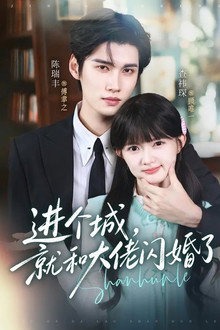 进个城，就和大佬闪婚了