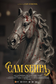 Cam Sehpa