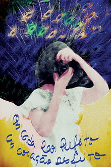 In Every Dream Home a Heartache