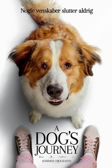 A Dog's Journey